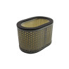 Filtrex Standardní vzduchový filtr - Cagiva 13780-02F00 [125-0057]