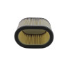 Filtrex Standardní vzduchový filtr - Cagiva 13780-02F00 [125-0057]