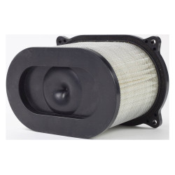 Filtrex Štandardný vzduchový filter - Cagiva 13780-20F00 [125-0065]