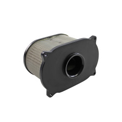 Filtrex Standardní vzduchový filtr - Cagiva 13780-20F00 [125-0065]