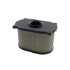 Filtrex Standardní vzduchový filtr - Cagiva 13780-20F00 [125-0065]
