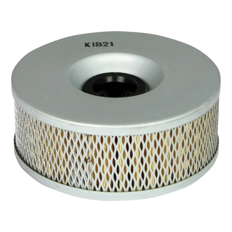 Filtrex Paper Oil Filter - 017