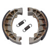 AP Racing Brake Shoe - LMS918