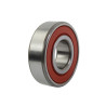 NTS Double Rubber Sealed Bearing - 6204DDU