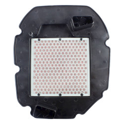 Filtrex Standardní vzduchový filtr - Honda 17210-MBB-000 [121-0145]