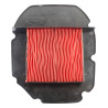 Filtrex Standardní vzduchový filtr - Honda 17210-MBB-000 [121-0145]