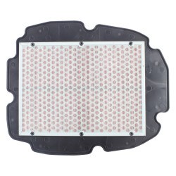 Filtrex Standardní vzduchový filtr - Honda 17210-MCW-D00 [121-0153]