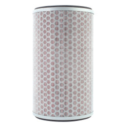 Filtrex Štandardný vzduchový filter - Honda 17210-MEJ-003 [121-0178]