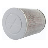 Filtrex Štandardný vzduchový filter - Honda 17210-MCZ-003 [121-0179]