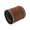 Filtrex Standardní vzduchový filtr - Kawasaki 11013-1235 [123-0057]